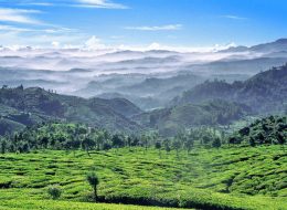 sri lanka