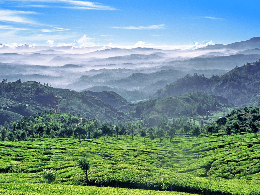 sri lanka